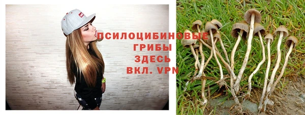 гашик Горно-Алтайск