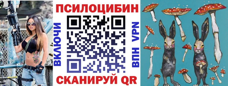 omg вход  Дзержинский  Галлюциногенные грибы MAGIC MUSHROOMS 